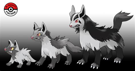 what does poochyena evolve into